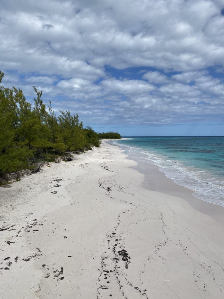 A pink sand beach in the Bahamas