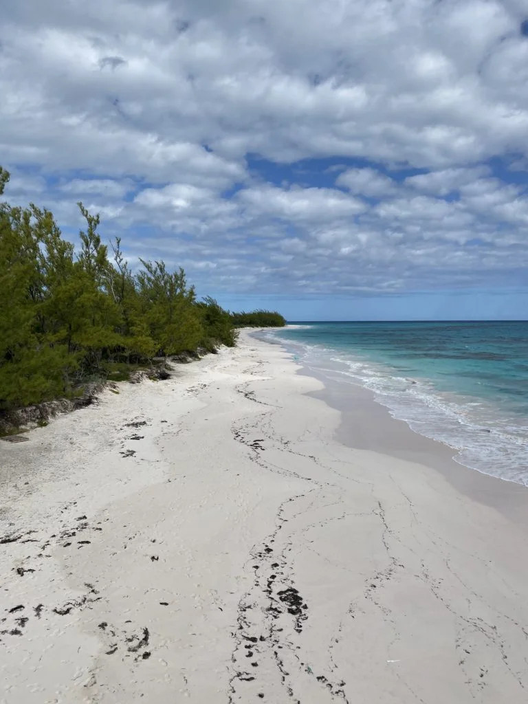A pink sand beach in the Bahamas