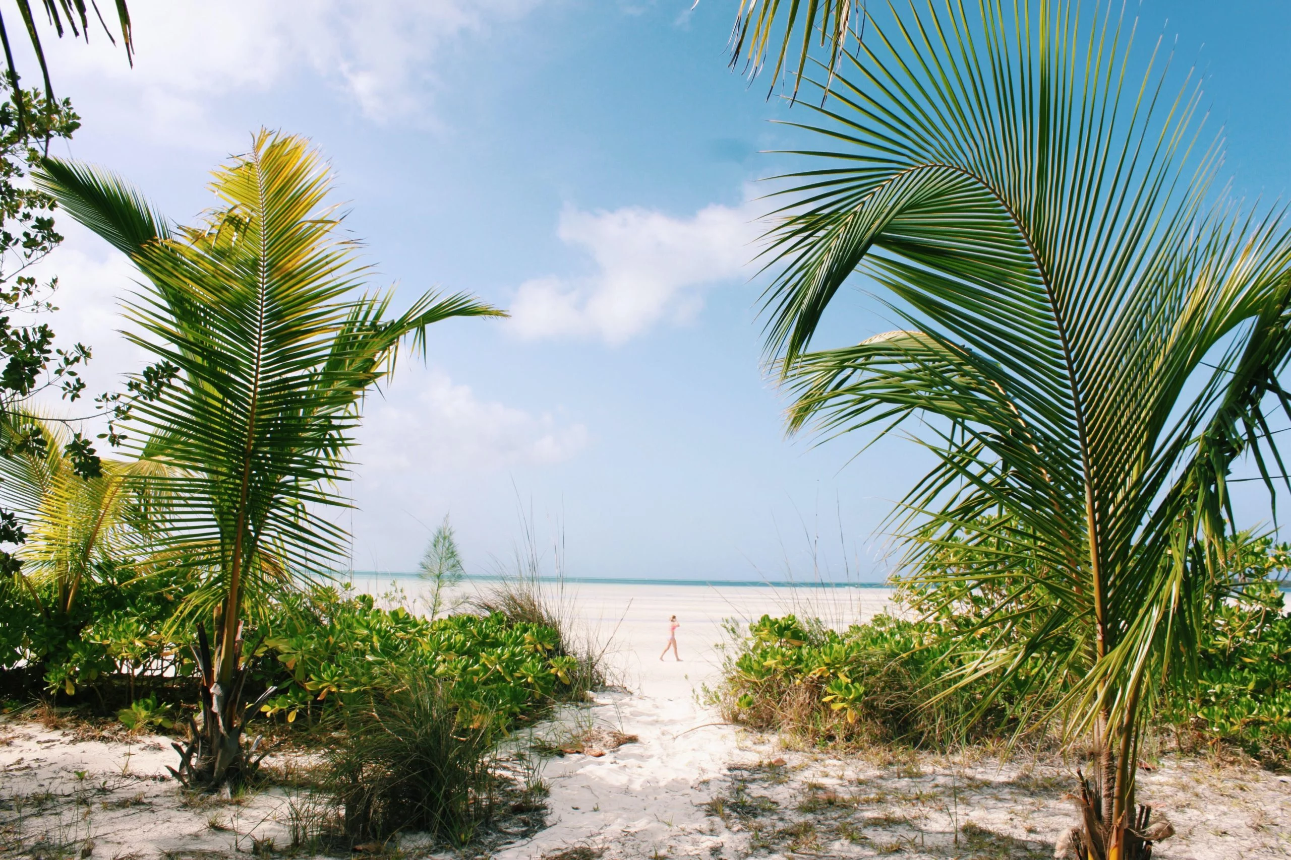 Beach in the Bahamas