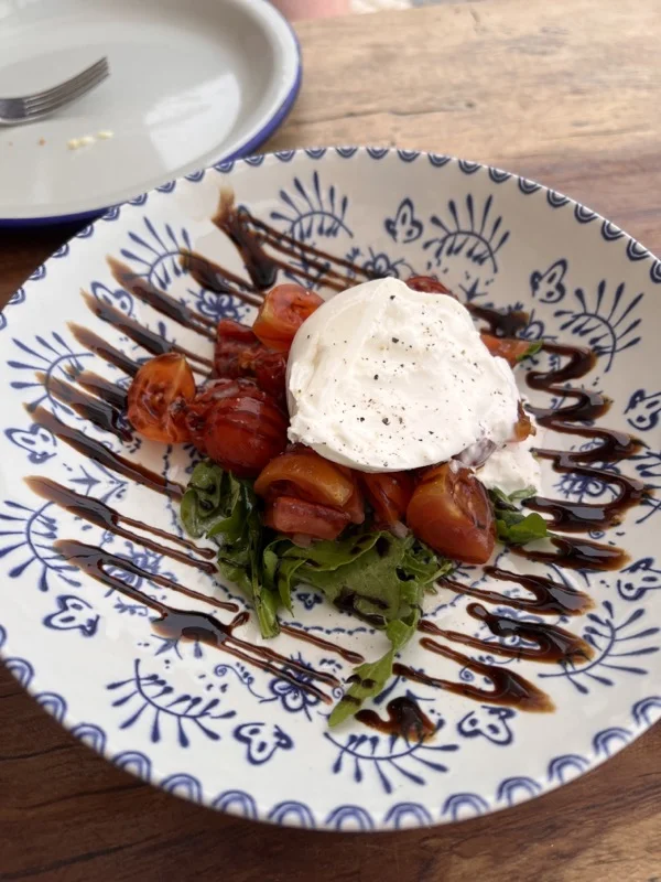 burrata on tomato sald on white plate